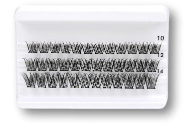 Daily-Lashes - Endless Night