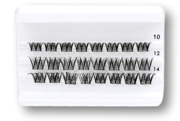 Daily-Lashes - More and More