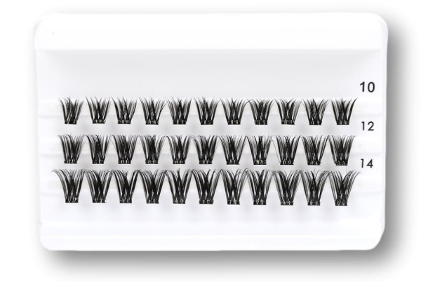 Daily-Lashes - Drama Queen