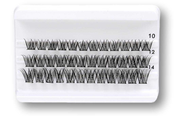 Daily-Lashes - Endless Night