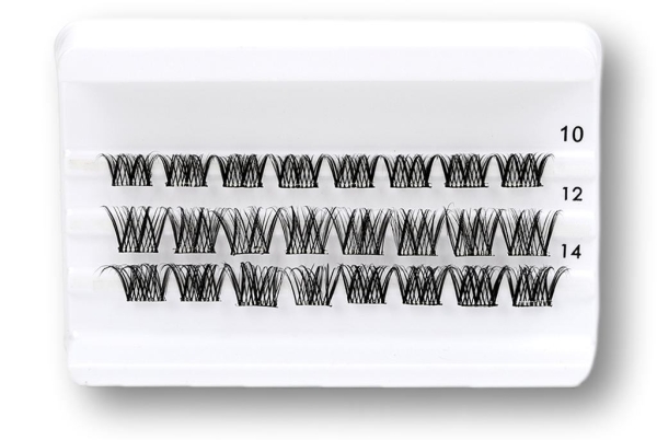 Daily-Lashes - More and More