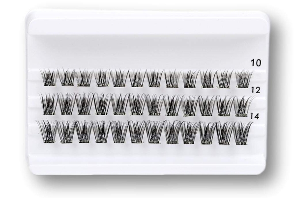 Daily-Lashes - Natural Beauty